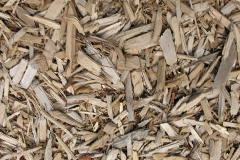 biomass boilers Hornblotton
